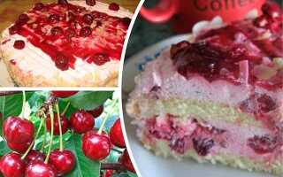 Смачні домашні торти — 9 простих і шалено смачних рецептів з фото