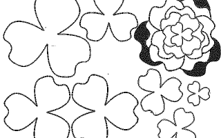 Шаблони квітів для вирізання з паперу різних розмірів (можна роздрукувати!)