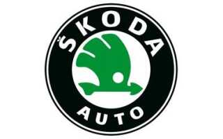 Новинки Skoda 2019-2020 | нові моделі Шкода