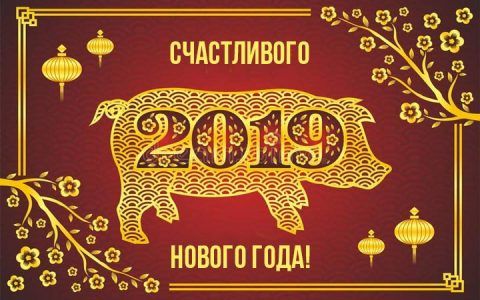 2019 рік Свині