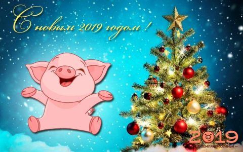 Новорічна свинка на 2019 рік