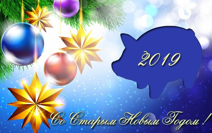 Свинка на листівці на Старий Новий Рік 2019