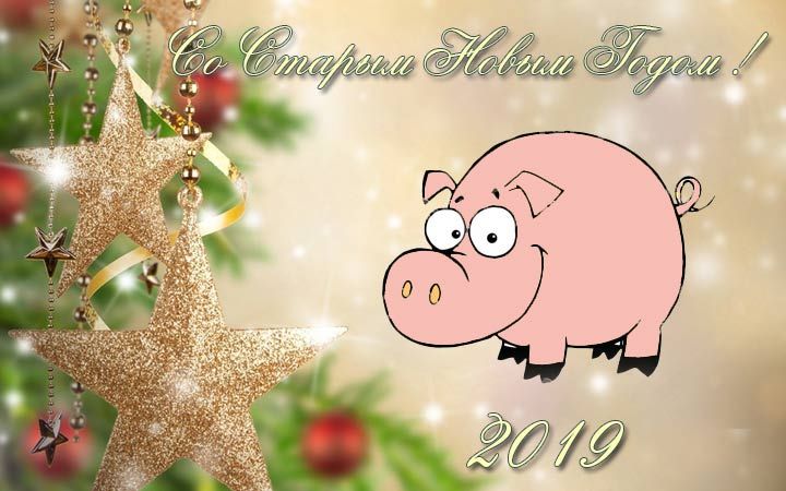 Рожева свинка на Старий Новий Рік 2019