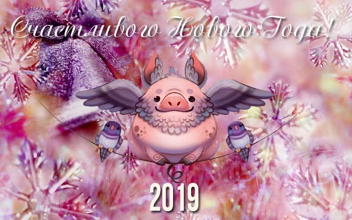 Красива новорічна листівка зі свинкою на 2019 рік
