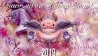 Красива новорічна листівка зі свинкою на 2019 рік
