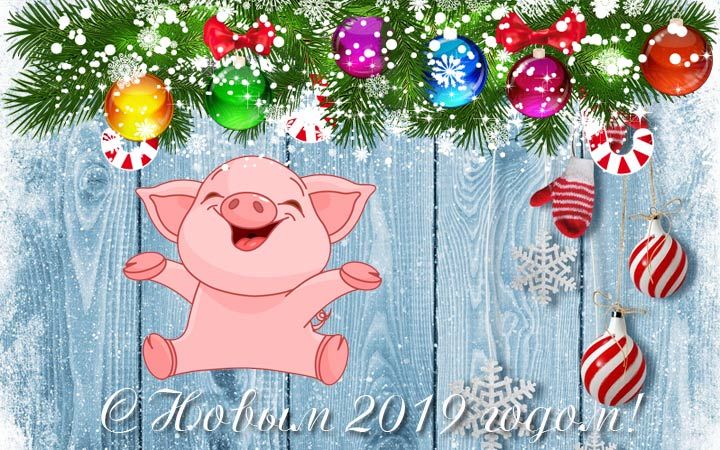 Листівка на 2019 рік свині