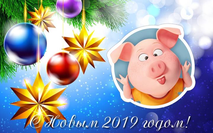 Весела листівка до Нового 2019 року Свині