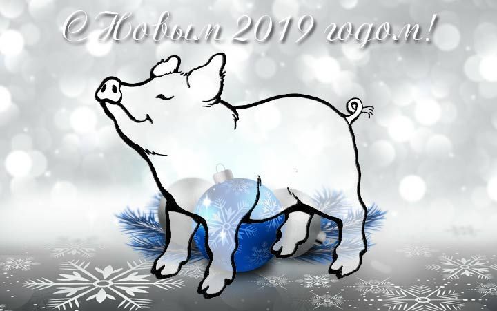 Новорічна листівка зі свинею 2019 рік