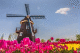 Національний день мельника в Нідерландах