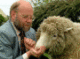 Було оголошено про успішне клонування овечки Доллі