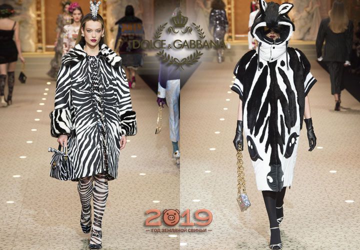 Зебра - модний принт колекції Дольче Габбана 2019 року