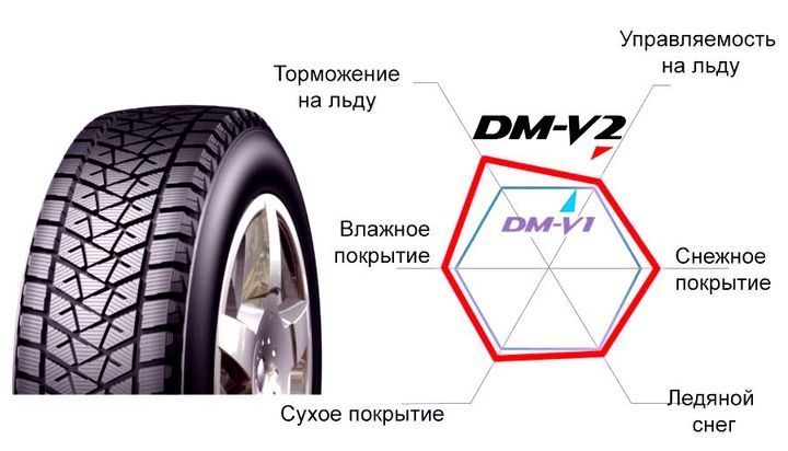 Зимові шини Bridgestone Blizzak DM