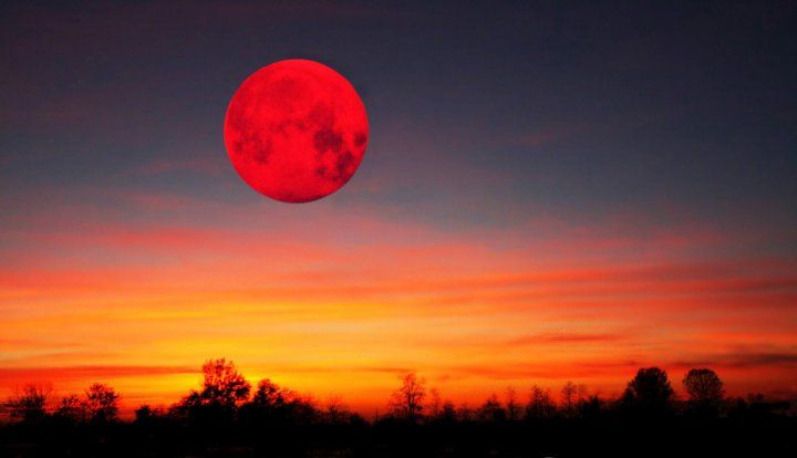 червоний місяць над полем