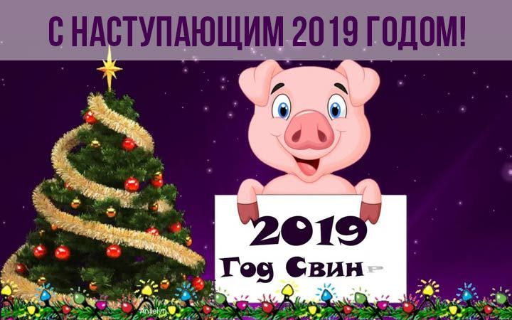Новорічна листівка зі свинкою на 2019 рік