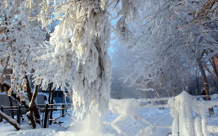 Погода взимку в Новосибірську в 2019 році