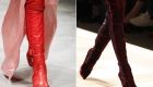 Модні кольори жіночих чобітків 2018-2019 роки