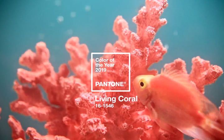 Живий корал - колір 2019 року