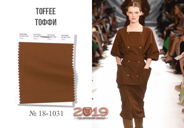 Toffee модний відтінок 2019 року
