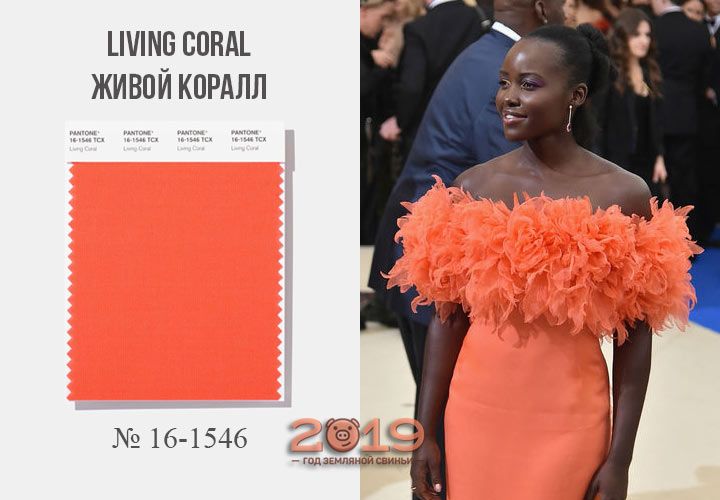 Living Coral колір року 2019