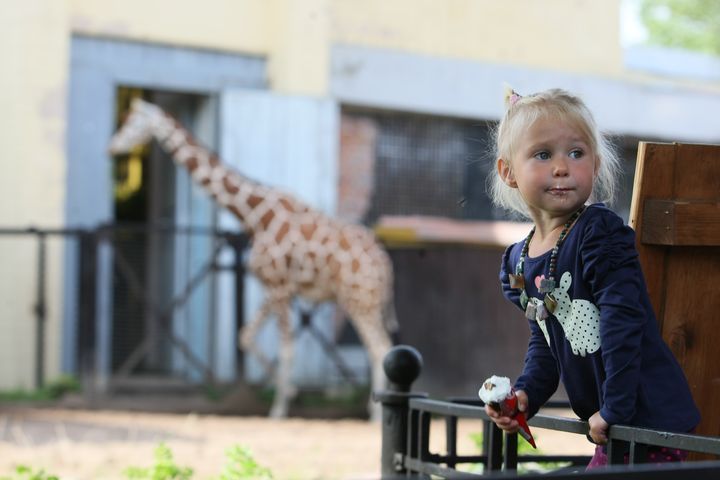 Дівчинка в зоопарку