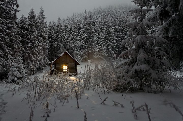 Хатина в зимовому лісі
