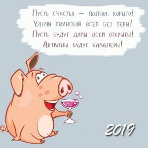 2019 рік Свині