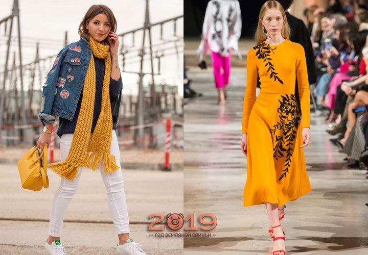 Модний помаранчевий зима 2018-2019 року