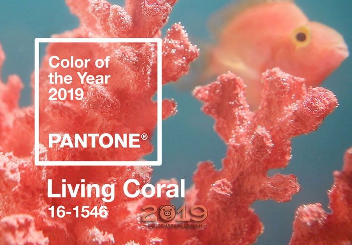 Колір року 2019 - живий корал