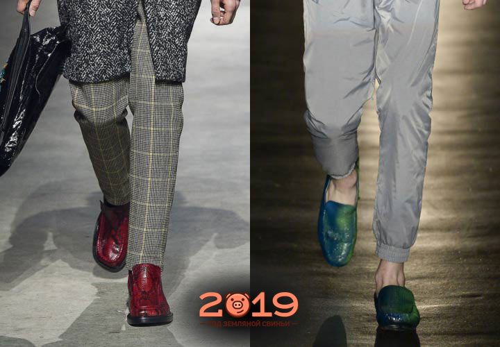 Кольорові чоловічі туфлі 2019 року