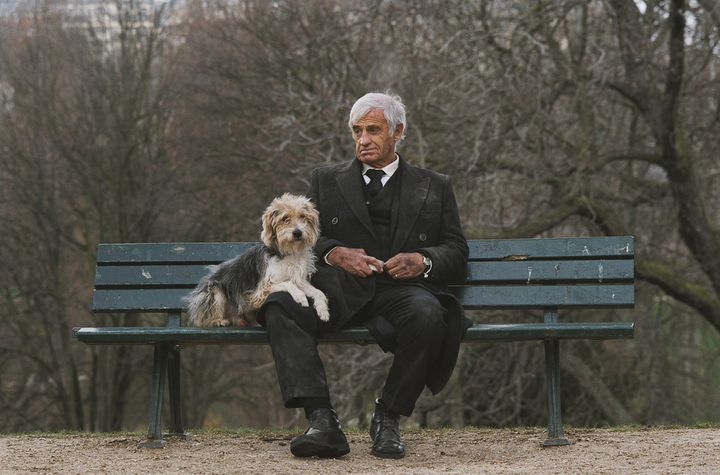 Сивий чоловік з собакою в парку