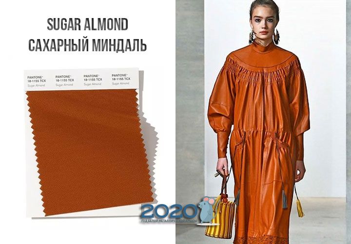 Sugar Almond (№18-1155) осінь-зима 2019-2020