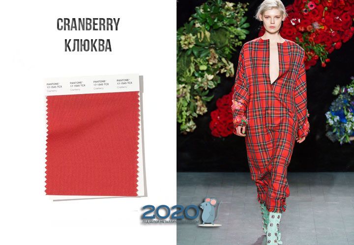 Cranberry (№17-1545) колір Пантон зима 2019-2020