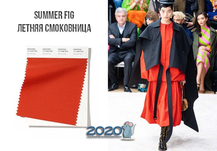 Summer Fig (№17-1450) колір Пантон зима 2019-2020