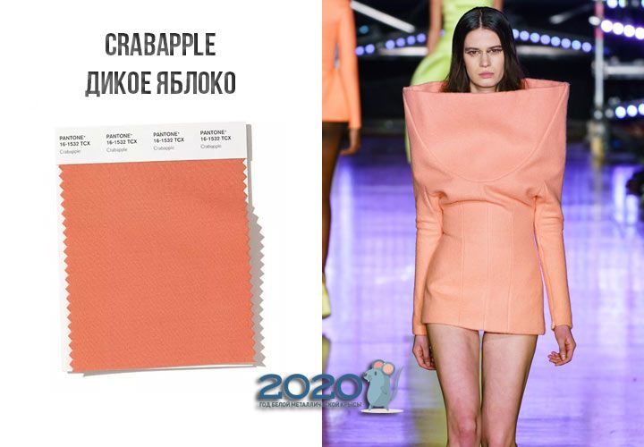 Crabapple (№16-1532) колір Пантон зима 2019-2020