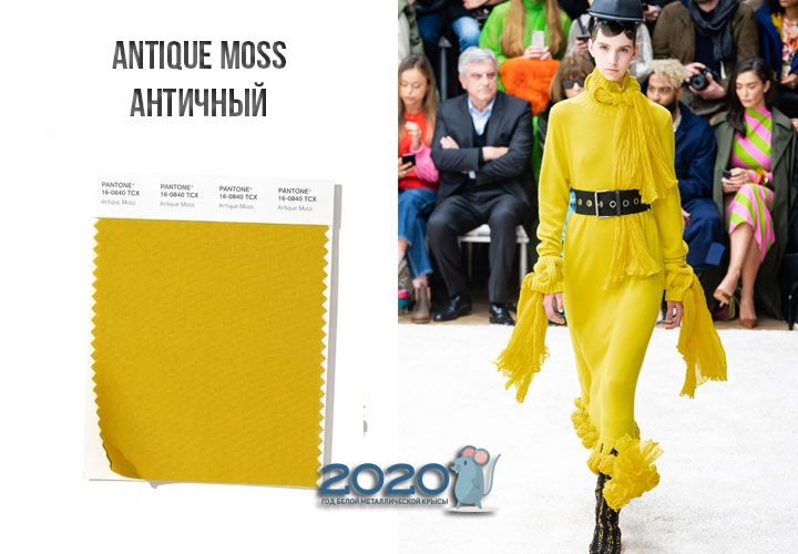Antique Moss (№16-0840) колір Пантон зима 2019-2020