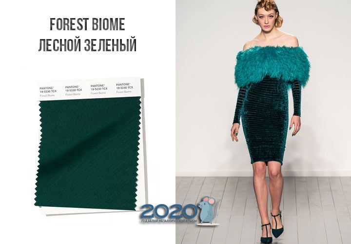Forest Biome (№19-5230) колір Пантон зима 2019-2020
