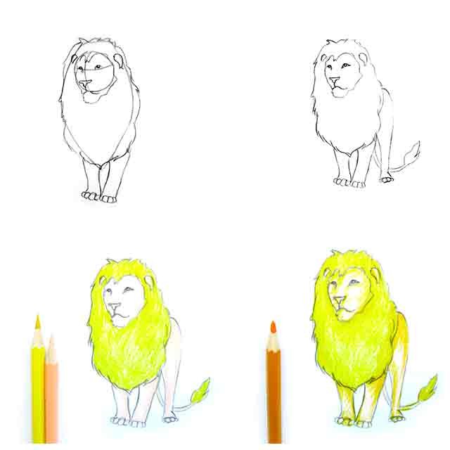 як намалювати лева олівцем