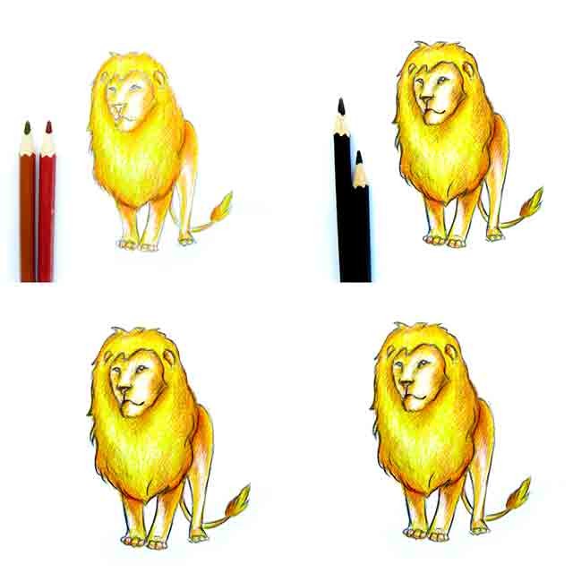 як намалювати лева поетапно