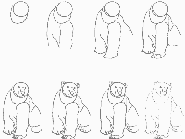 як намалювати білого ведмедя