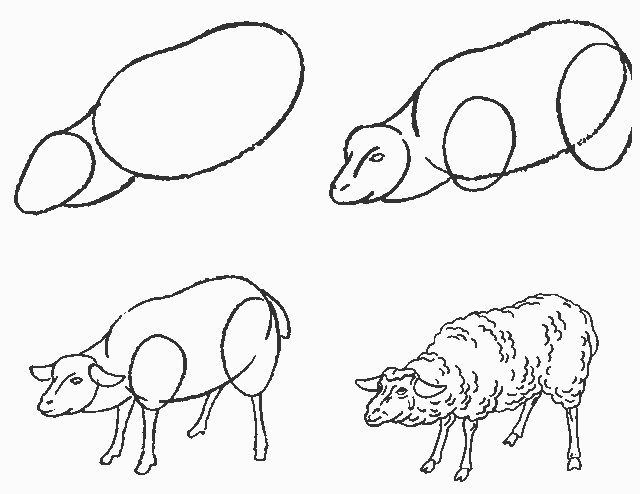 як намалювати вівцю