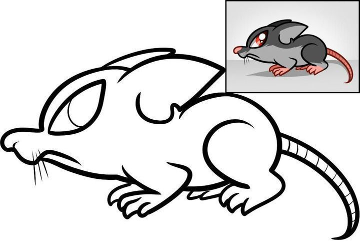 Як намалювати пацюка покроково