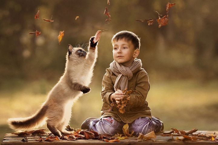 Хлопчик і кіт в осіннє листя