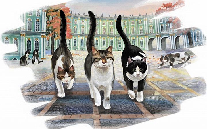 Ермітажні коти історія, життя тварин, особисте свято у 2020 році