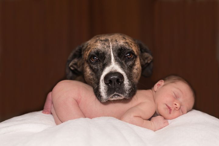 Дитина і собака