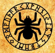 Павук - тотем Слов'янського гороскопу