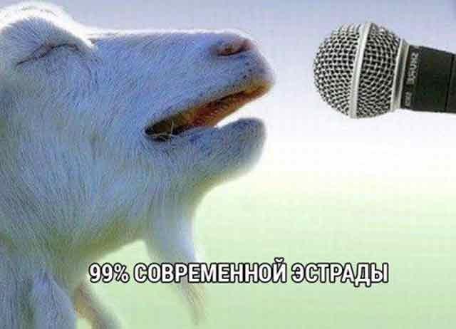 коза співає