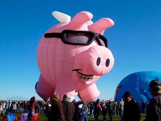 повітряна свиня фото