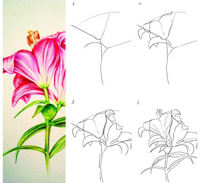 малюнок квітки на конкурс