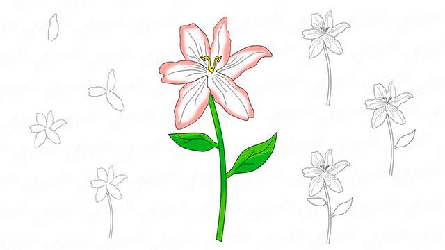 как нарисовать цветок пошагово