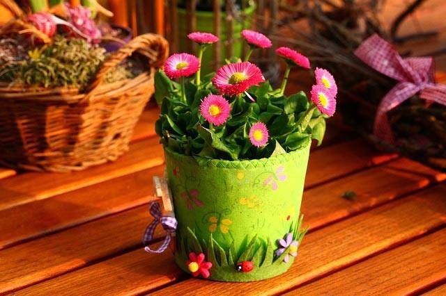 flowers-in-a-pot